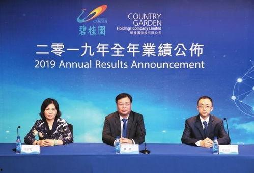 碧桂园最新爆料新闻报道,揭秘项目进展与市场动态  第2张